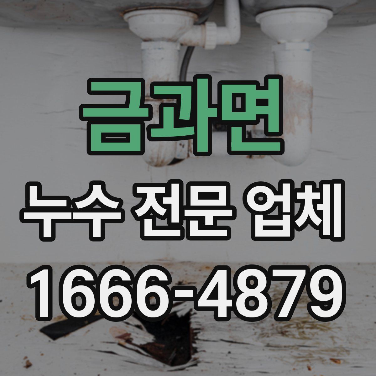 금과면 누수 전문 업체