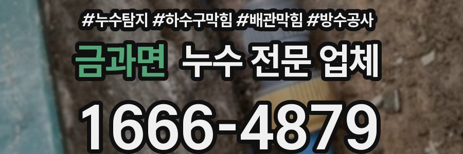 금과면 누수 전문 업체