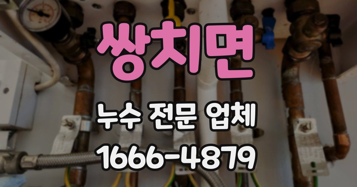 쌍치면 누수 전문 업체