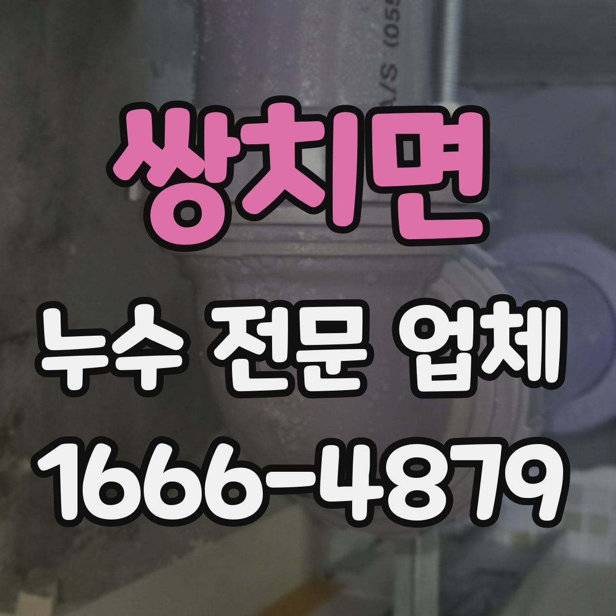 쌍치면 누수 전문 업체
