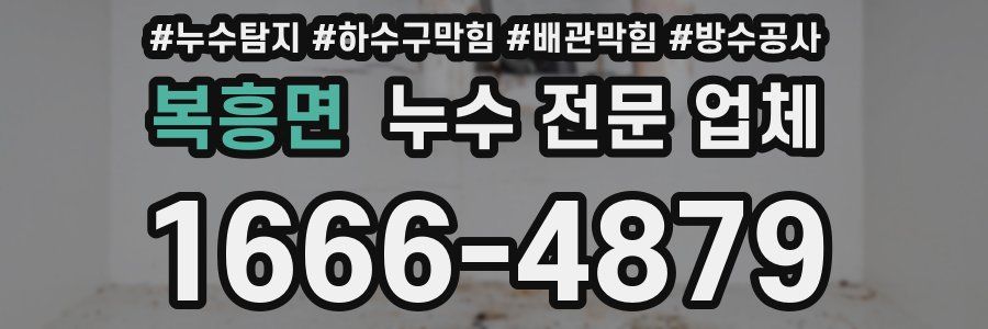복흥면 누수 전문 업체