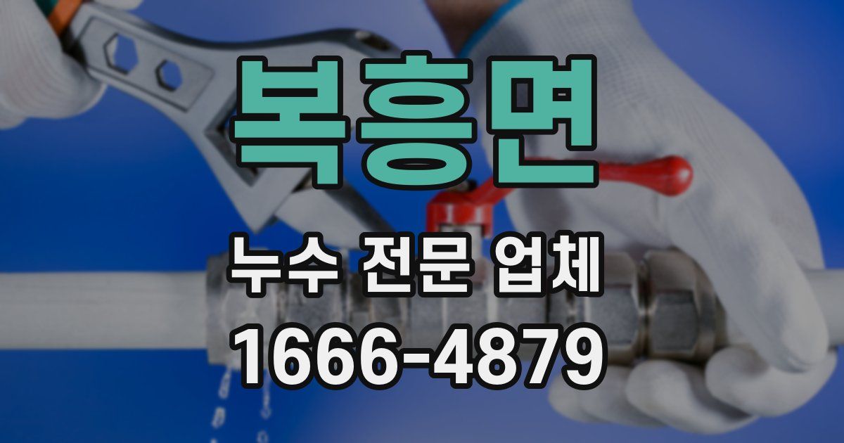 복흥면 누수 전문 업체
