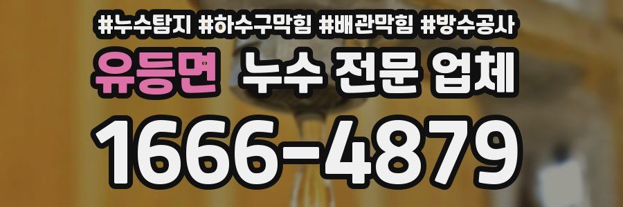 유등면 누수 전문 업체