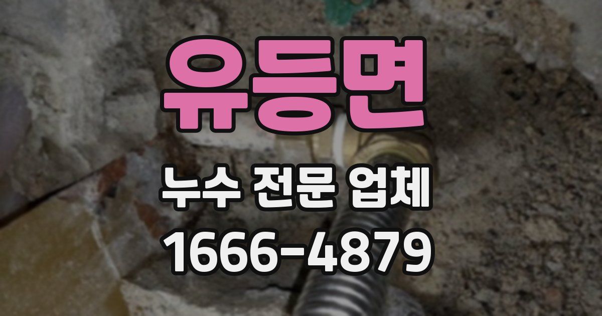 유등면 누수 전문 업체
