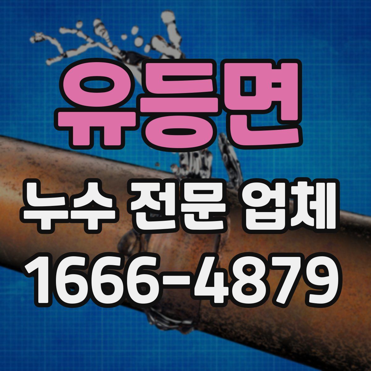 유등면 누수 전문 업체