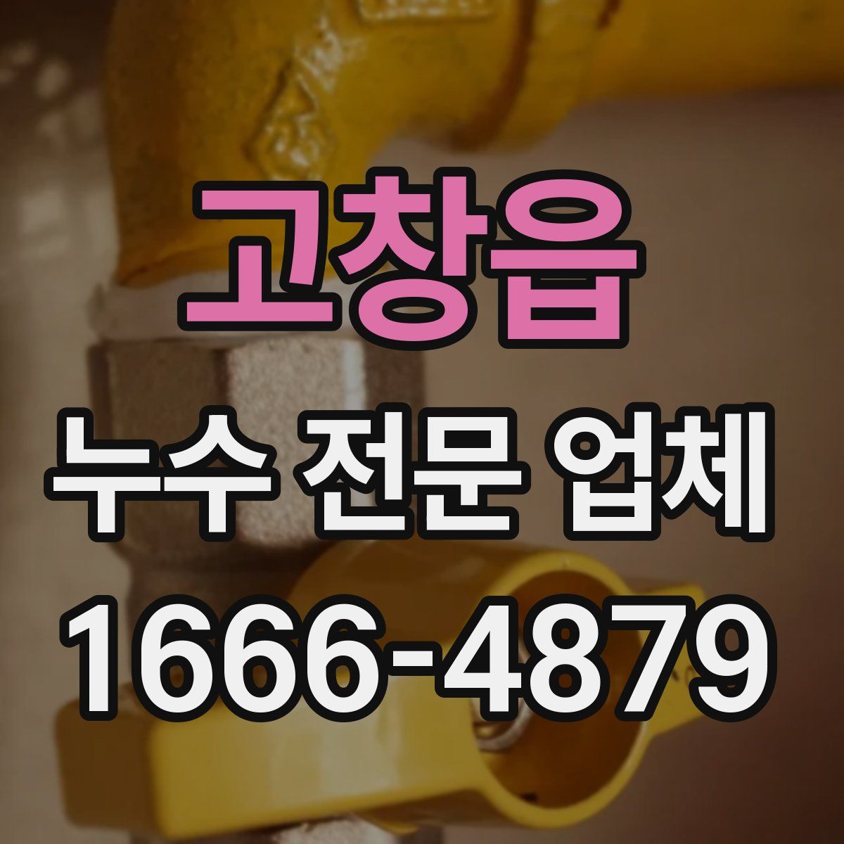 고창읍 누수 전문 업체