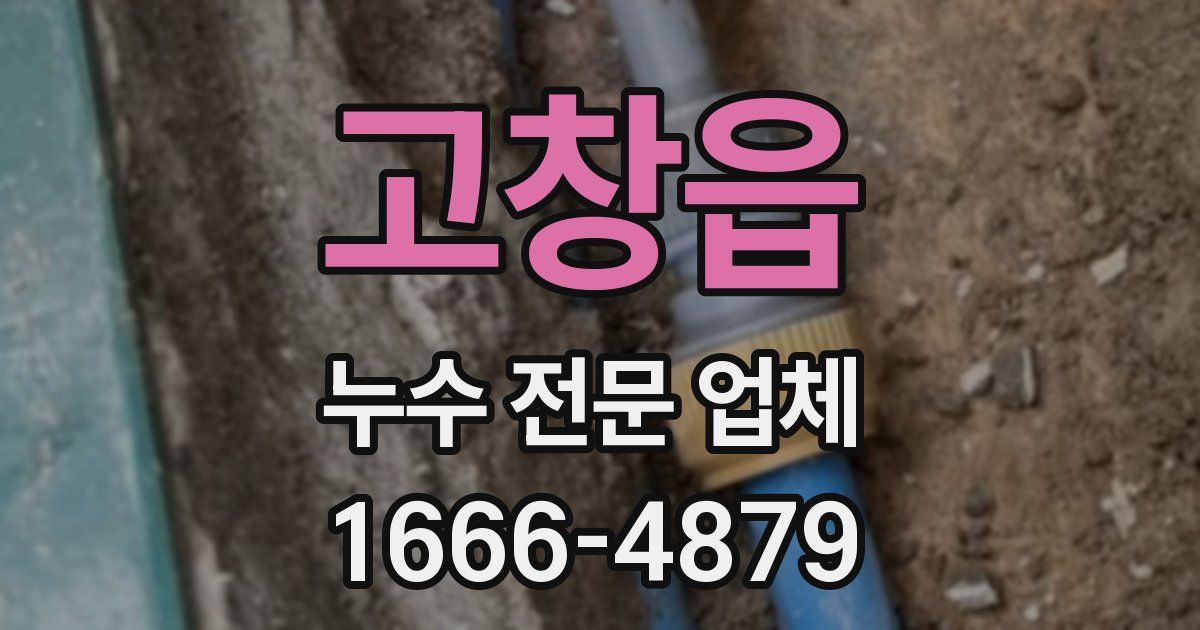 고창읍 누수 전문 업체