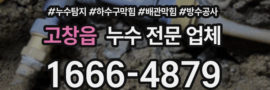 고창읍 누수 전문 업체