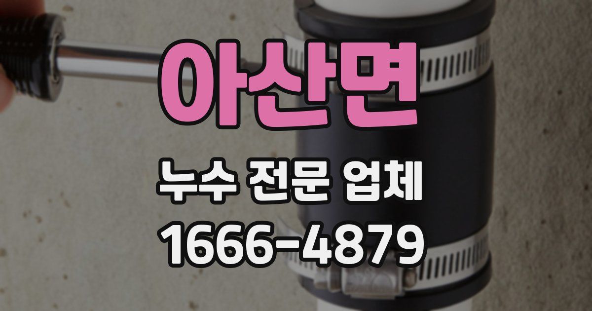 아산면 누수 전문 업체