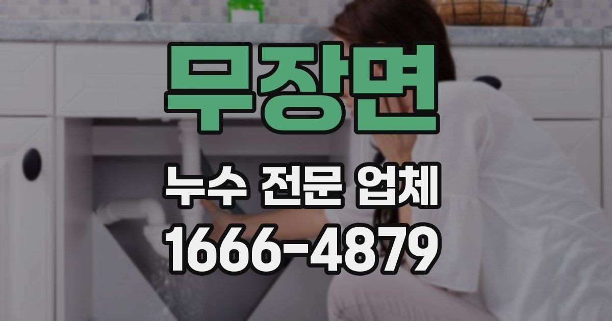 무장면 누수 전문 업체