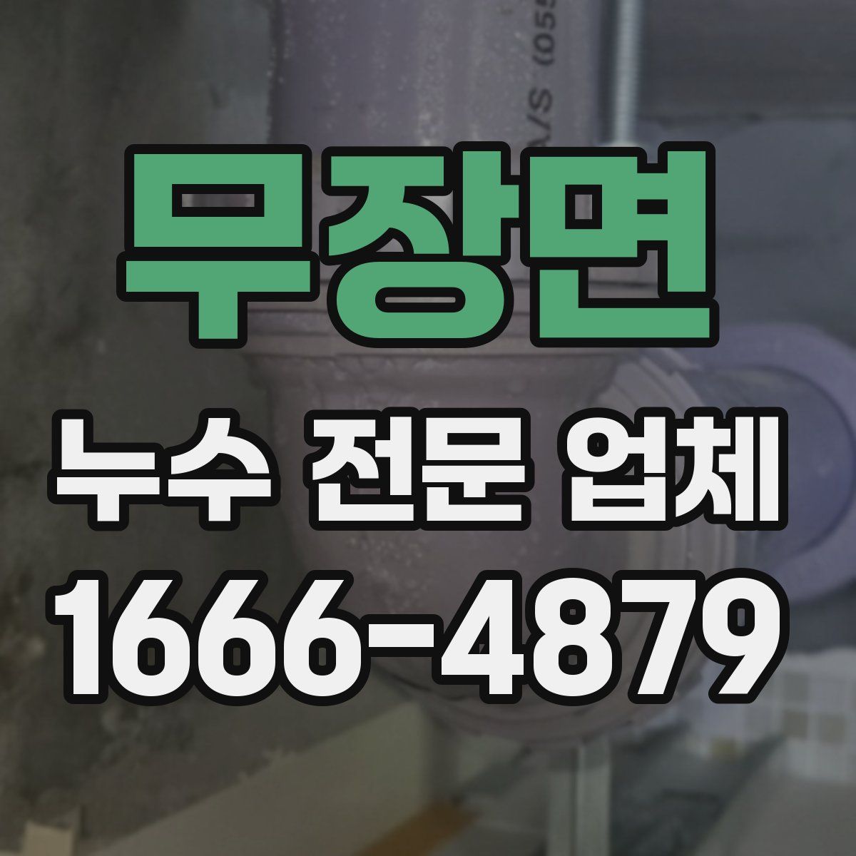 무장면 누수 전문 업체