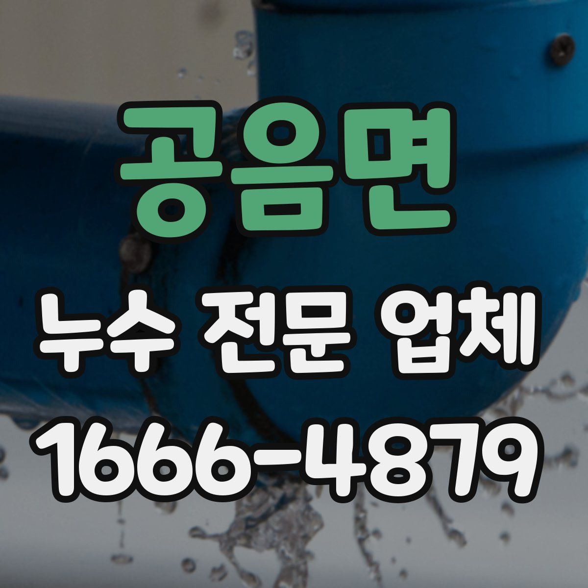공음면 누수 전문 업체