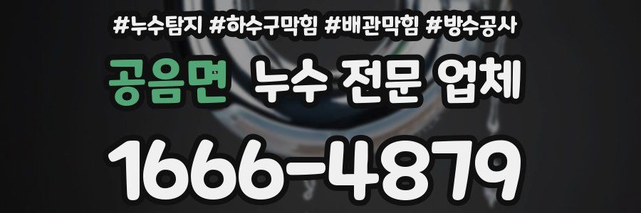 공음면 누수 전문 업체