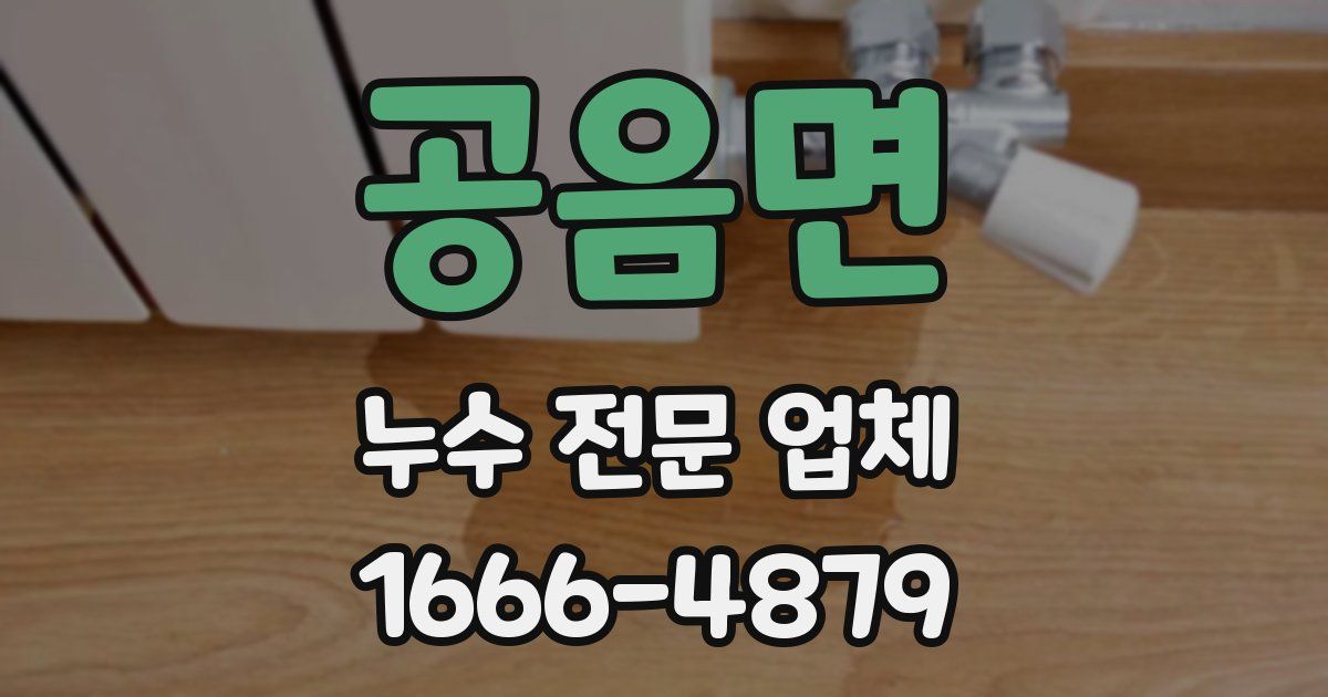 공음면 누수 전문 업체