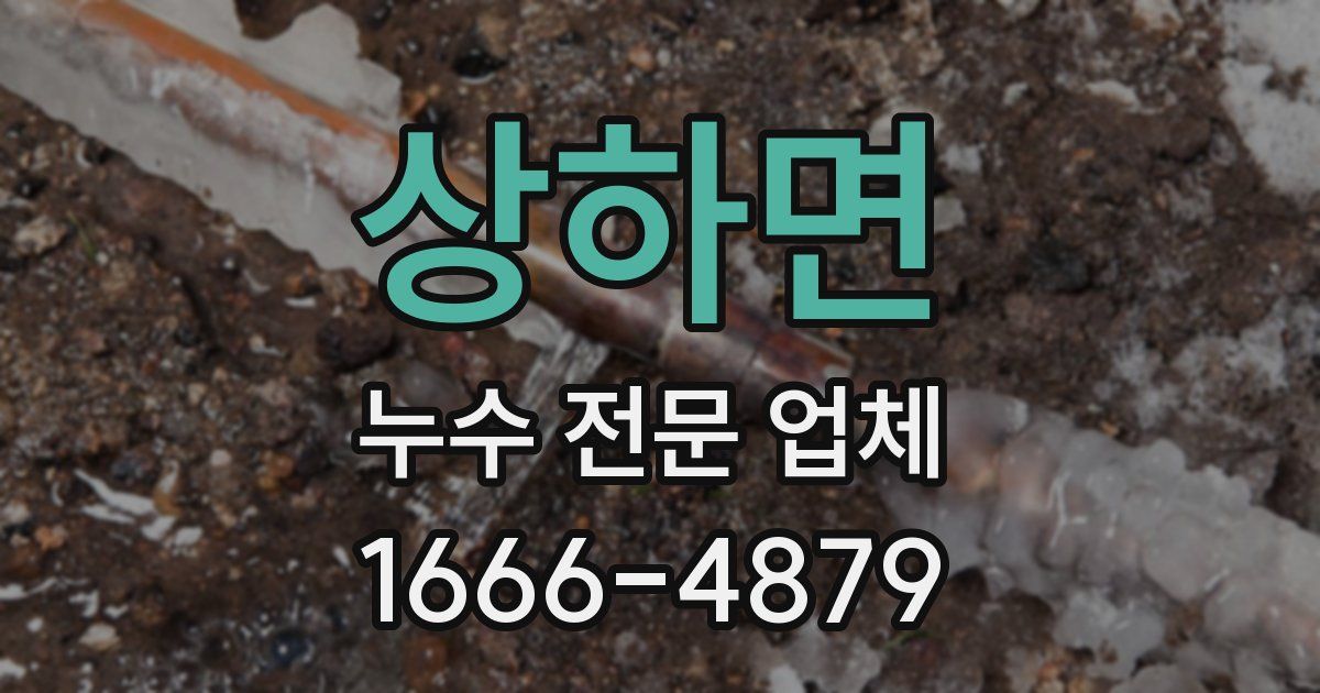 상하면 누수 전문 업체