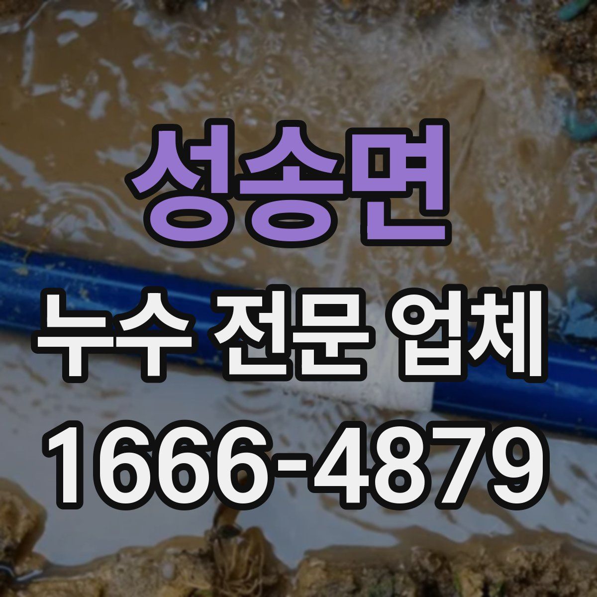 성송면 누수 전문 업체