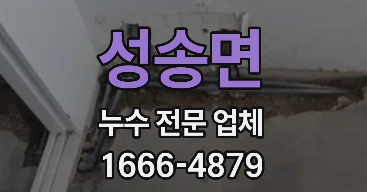 성송면 누수 전문 업체