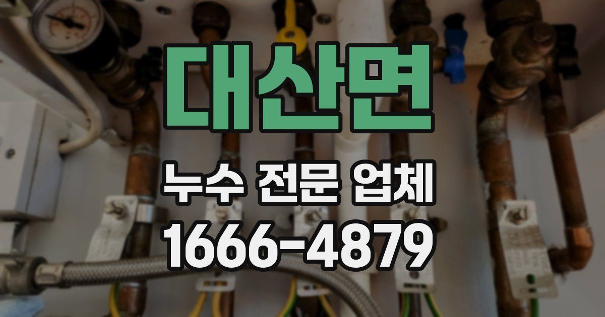 대산면 누수 전문 업체