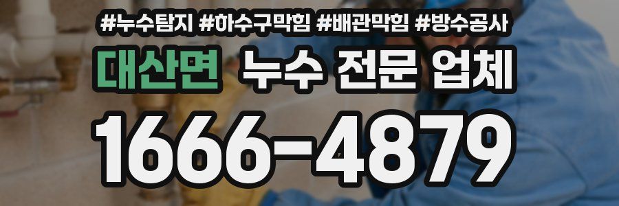 대산면 누수 전문 업체