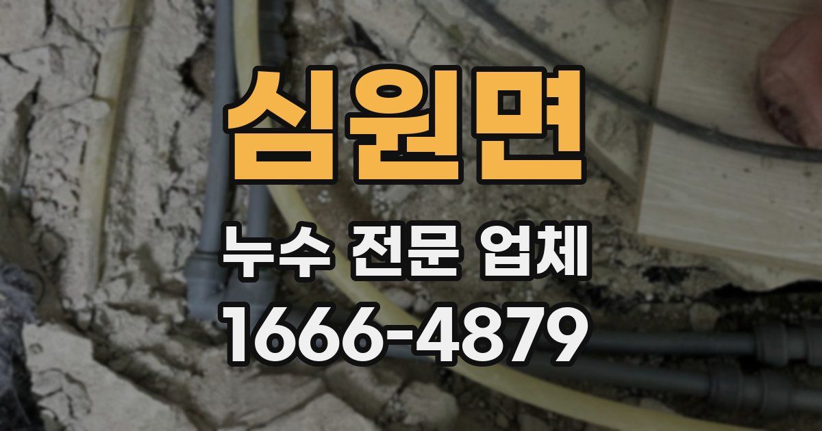 심원면 누수 전문 업체