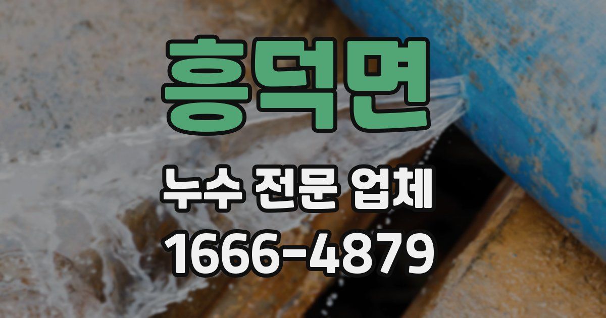 흥덕면 누수 전문 업체