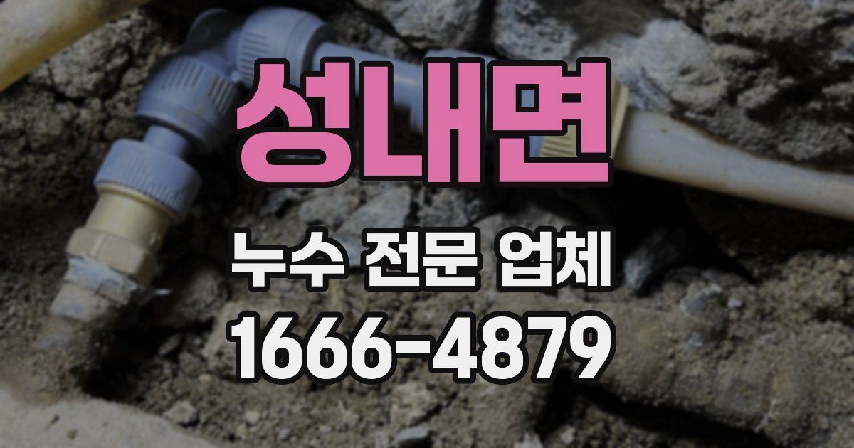 성내면 누수 전문 업체