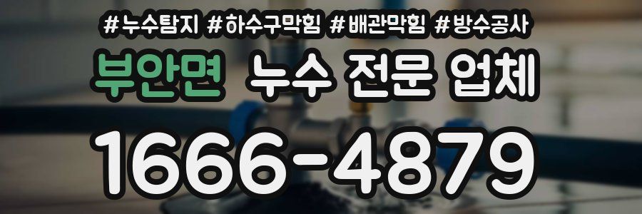 부안면 누수 전문 업체