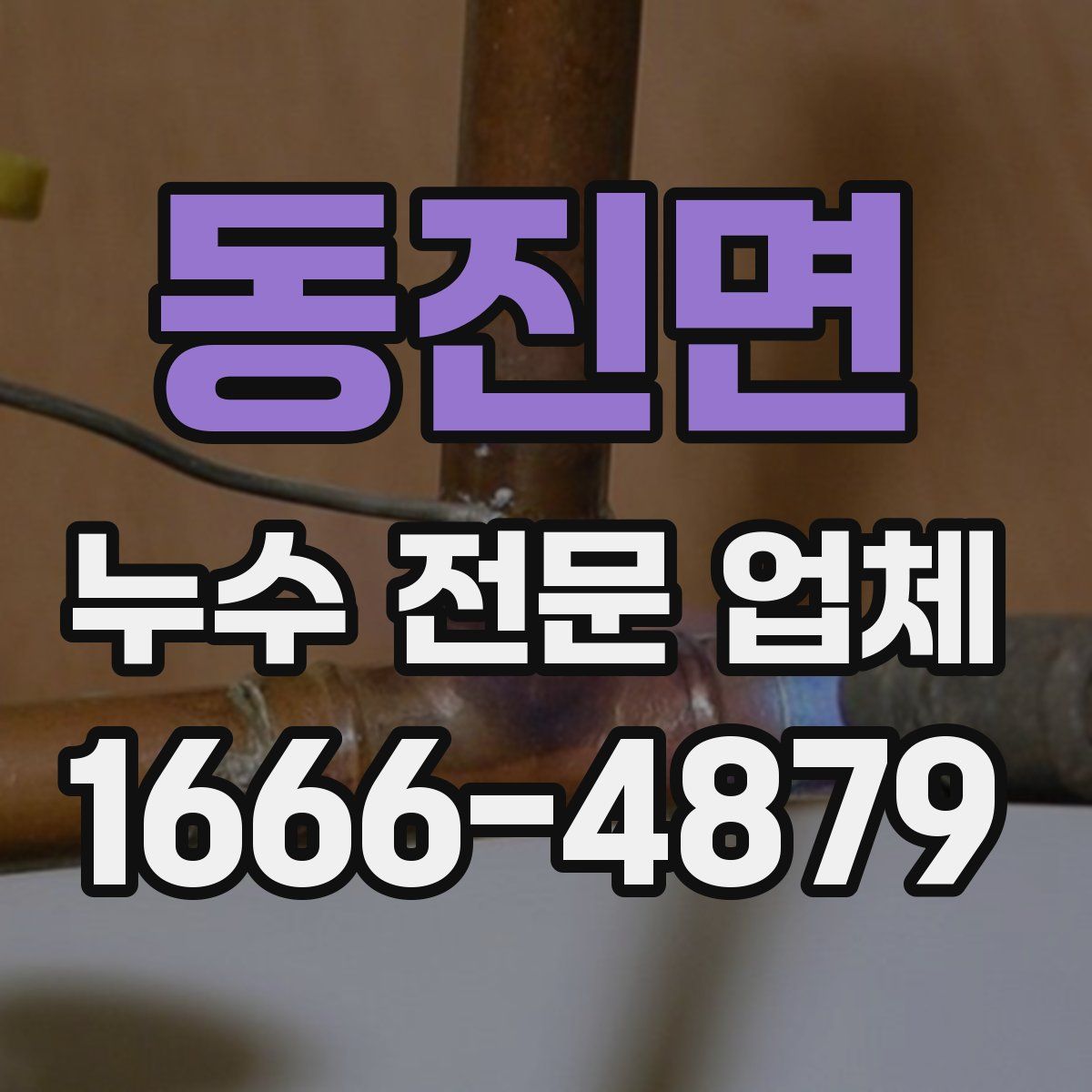 동진면 누수 전문 업체