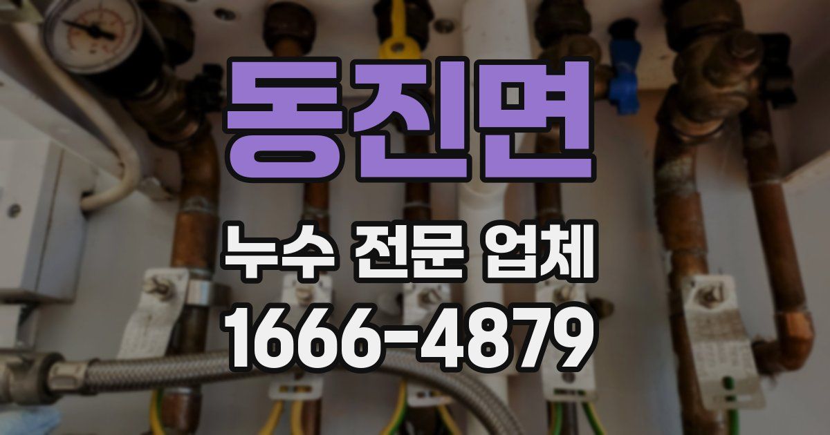 동진면 누수 전문 업체