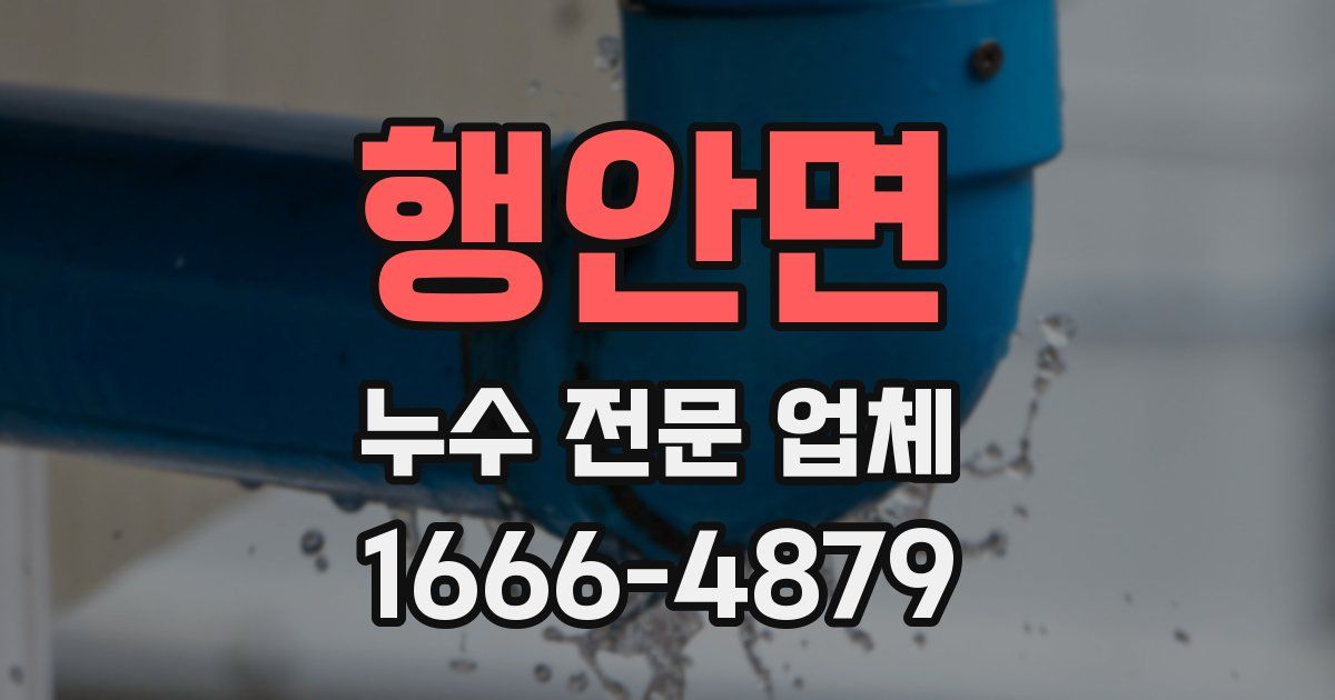행안면 누수 전문 업체