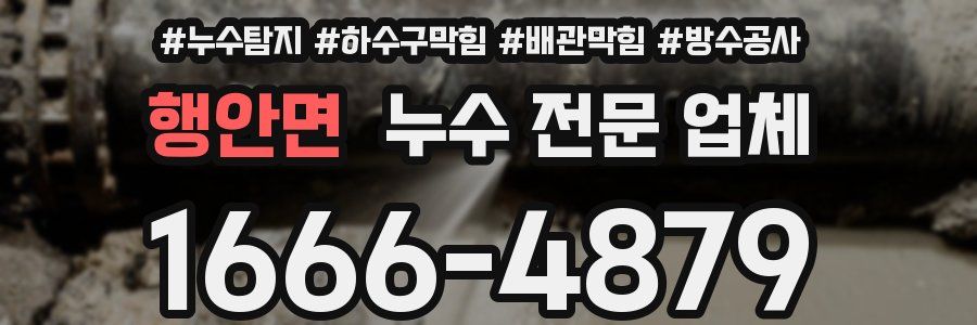 행안면 누수 전문 업체