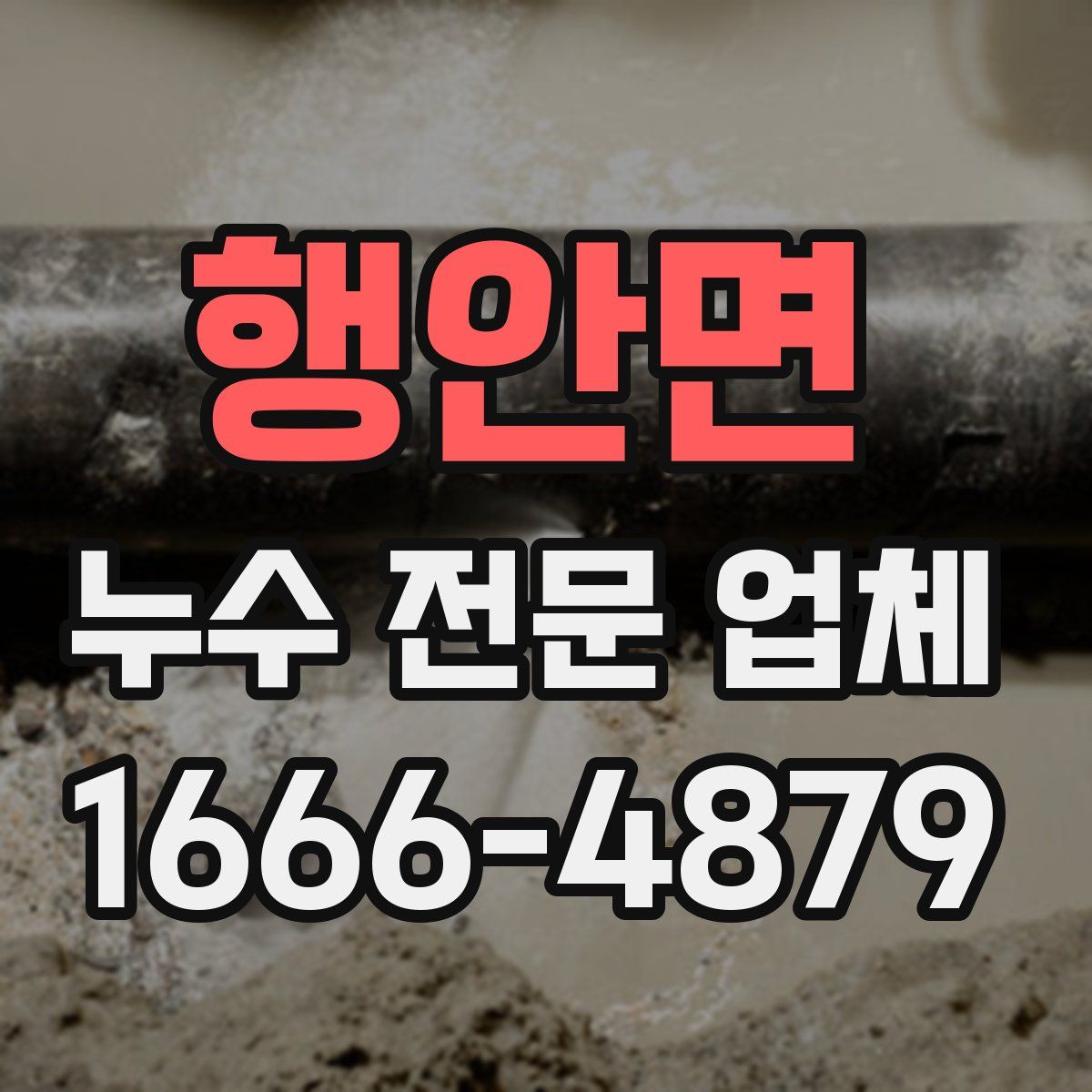 행안면 누수 전문 업체