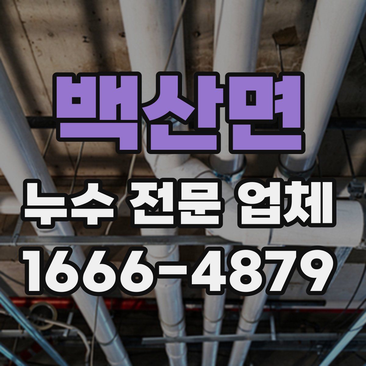 백산면 누수 전문 업체