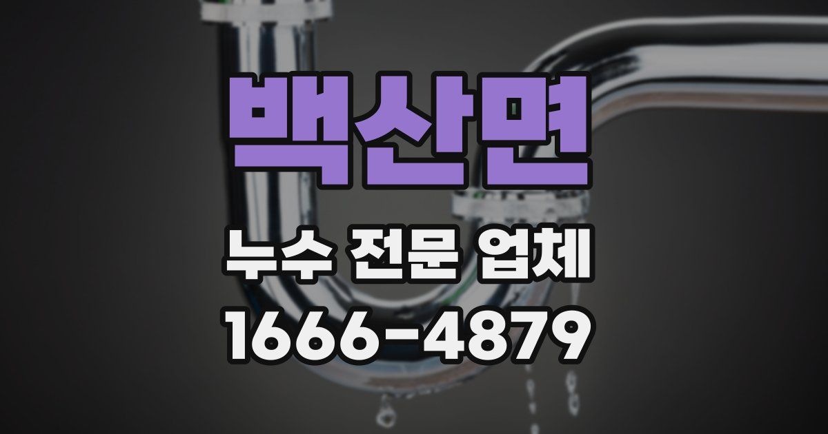 백산면 누수 전문 업체