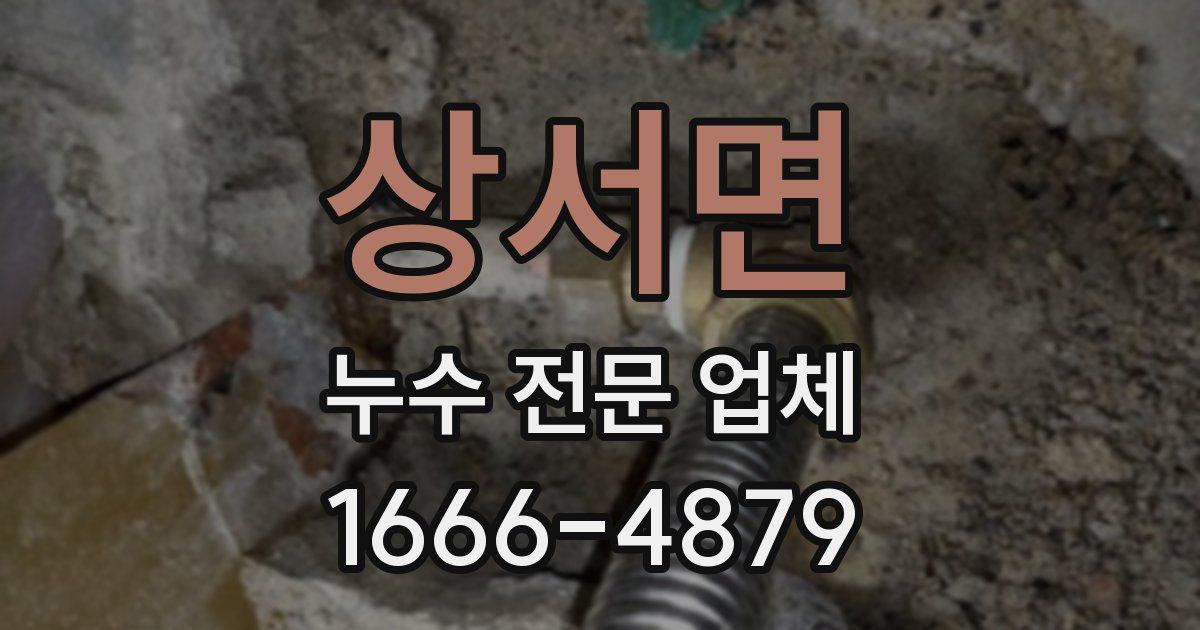 상서면 누수 전문 업체