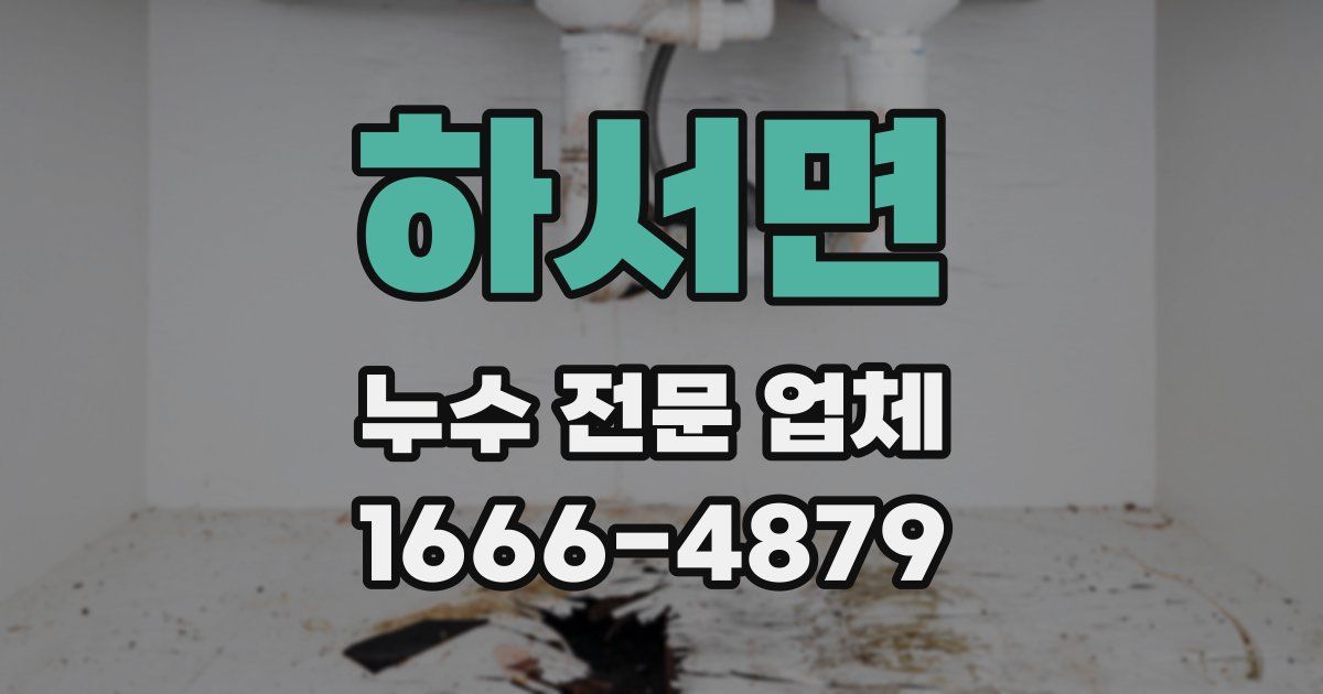 하서면 누수 전문 업체