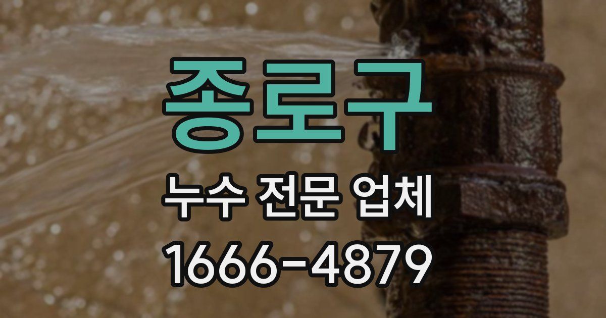 종로구 누수 전문 업체