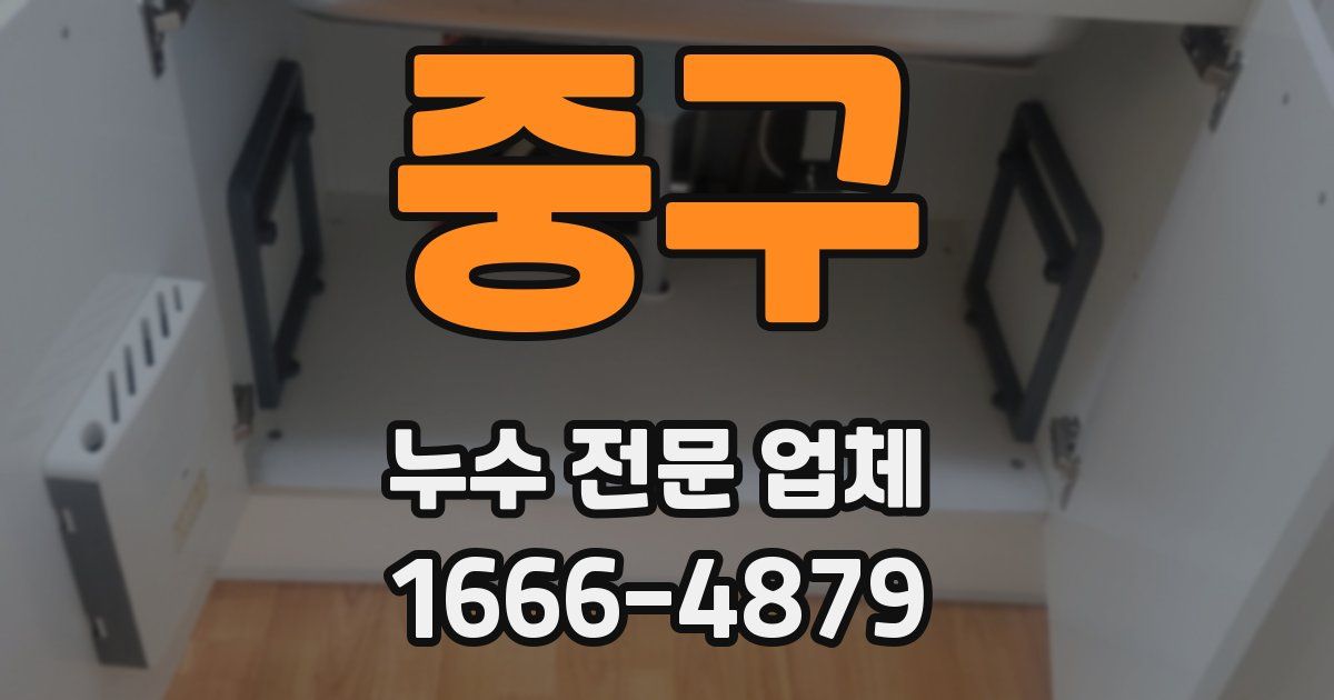 중구 누수 전문 업체