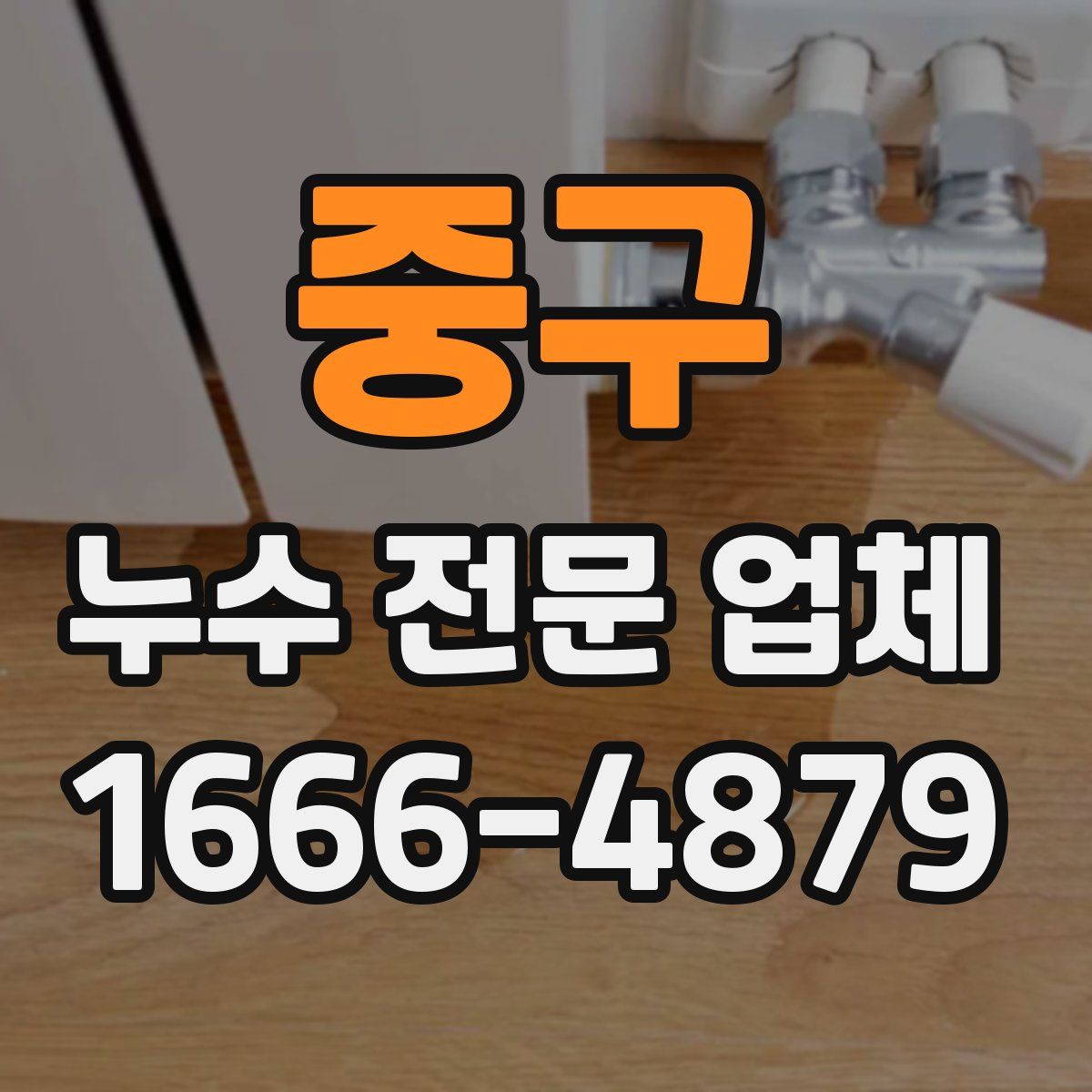 중구 누수 전문 업체