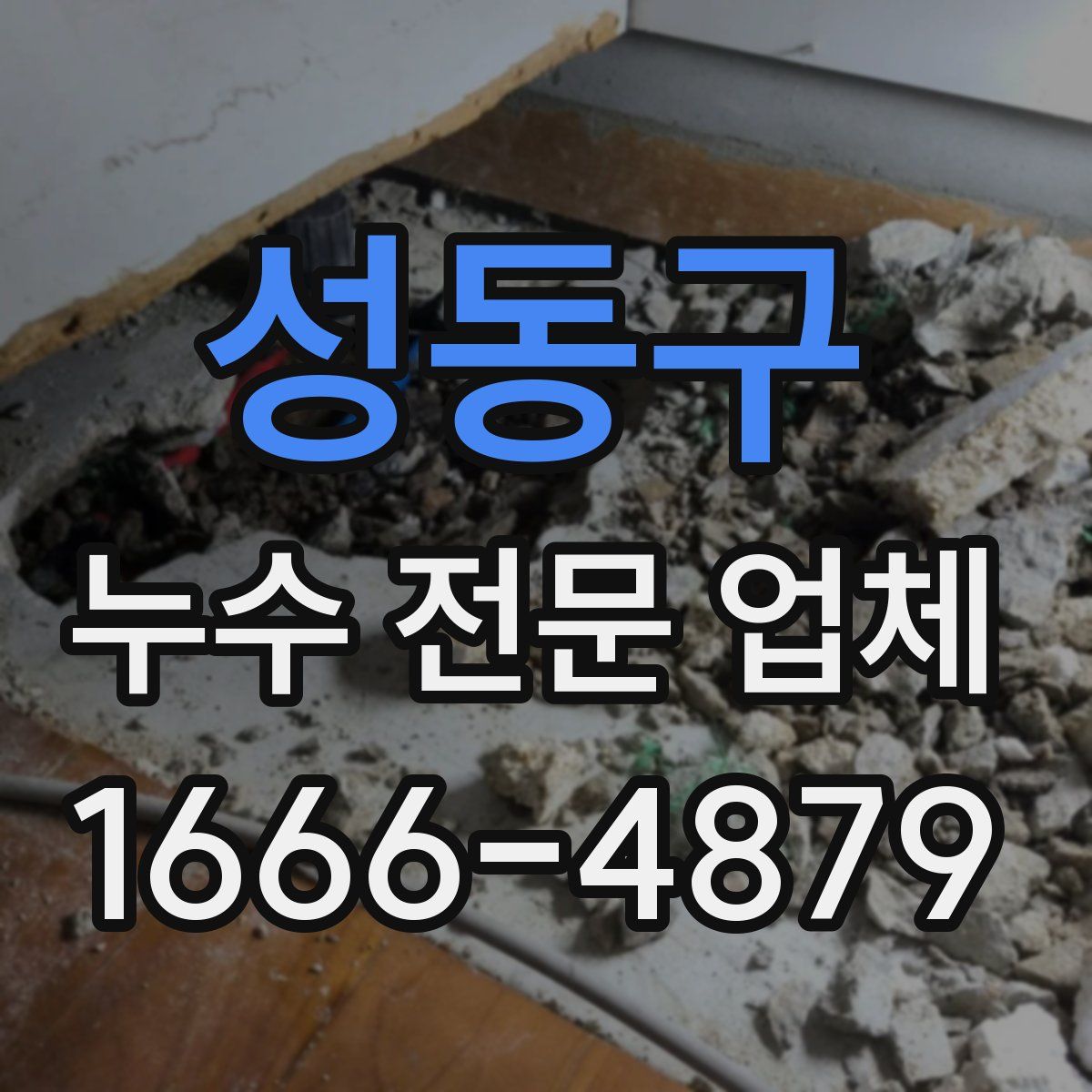 성동구 누수 전문 업체