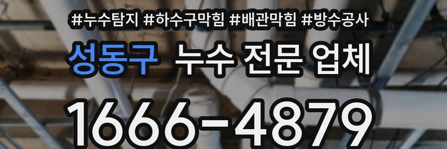 성동구 누수 전문 업체