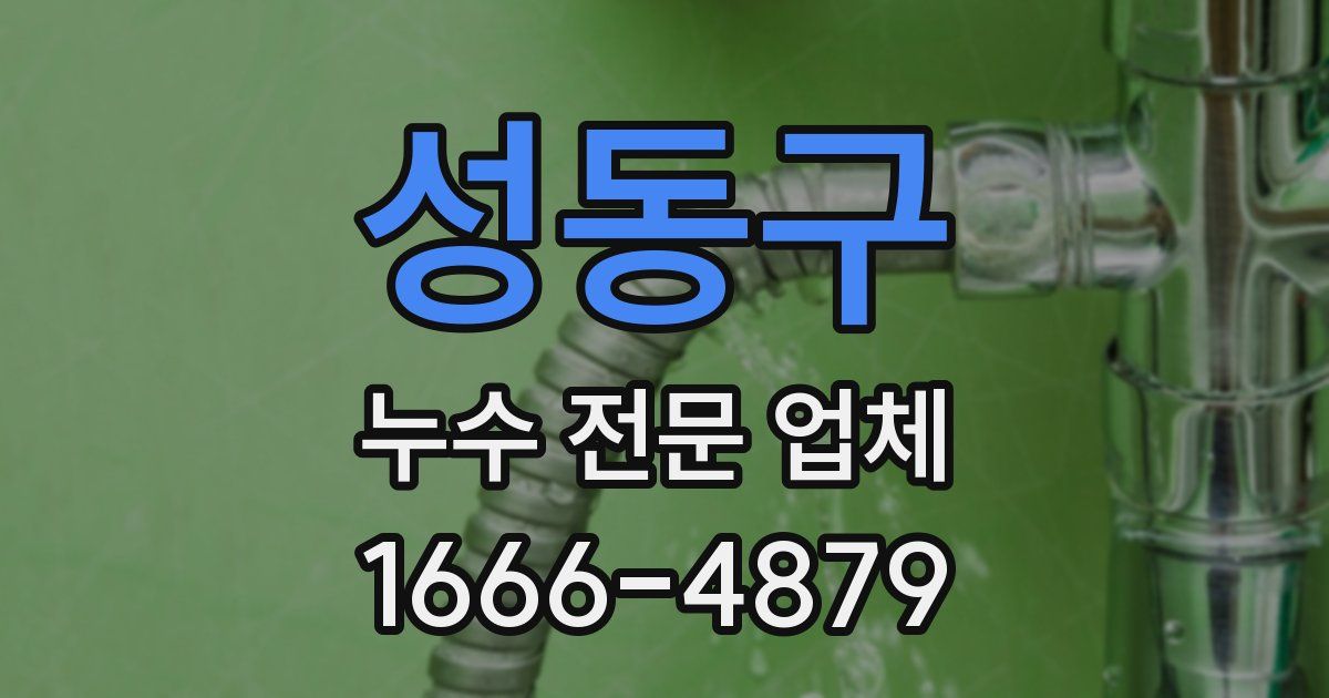 성동구 누수 전문 업체