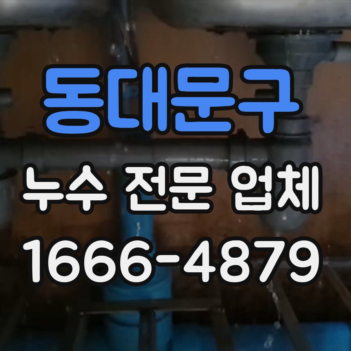 동대문구 누수 전문 업체