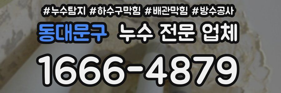 동대문구 누수 전문 업체