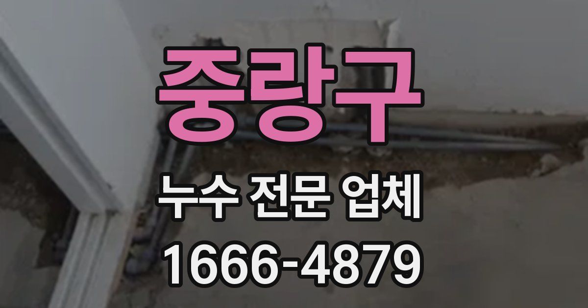 중랑구 누수 전문 업체