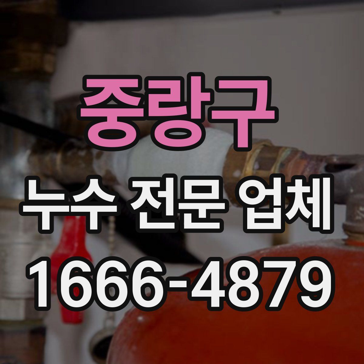 중랑구 누수 전문 업체