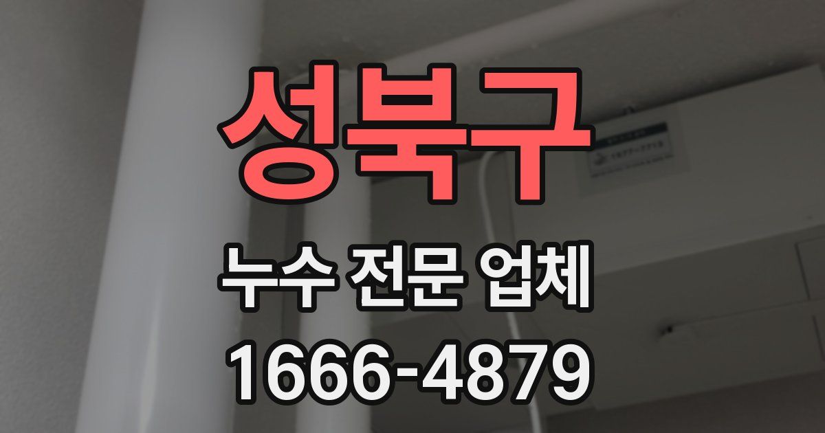 성북구 누수 전문 업체