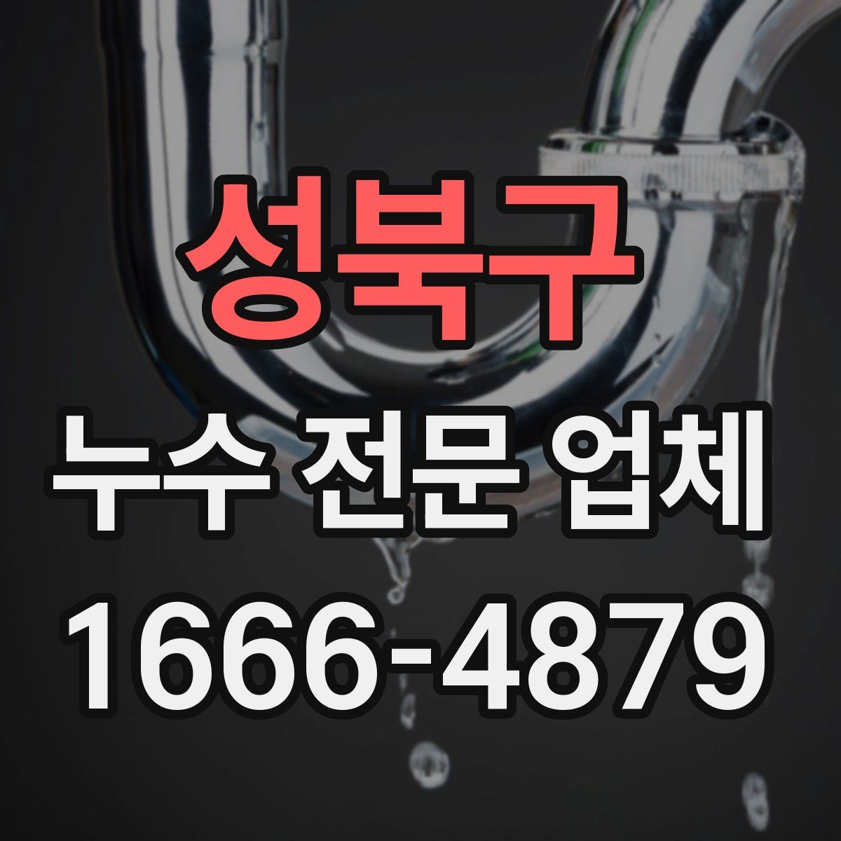 성북구 누수 전문 업체