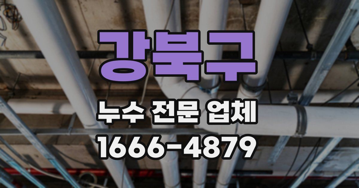 강북구 누수 전문 업체