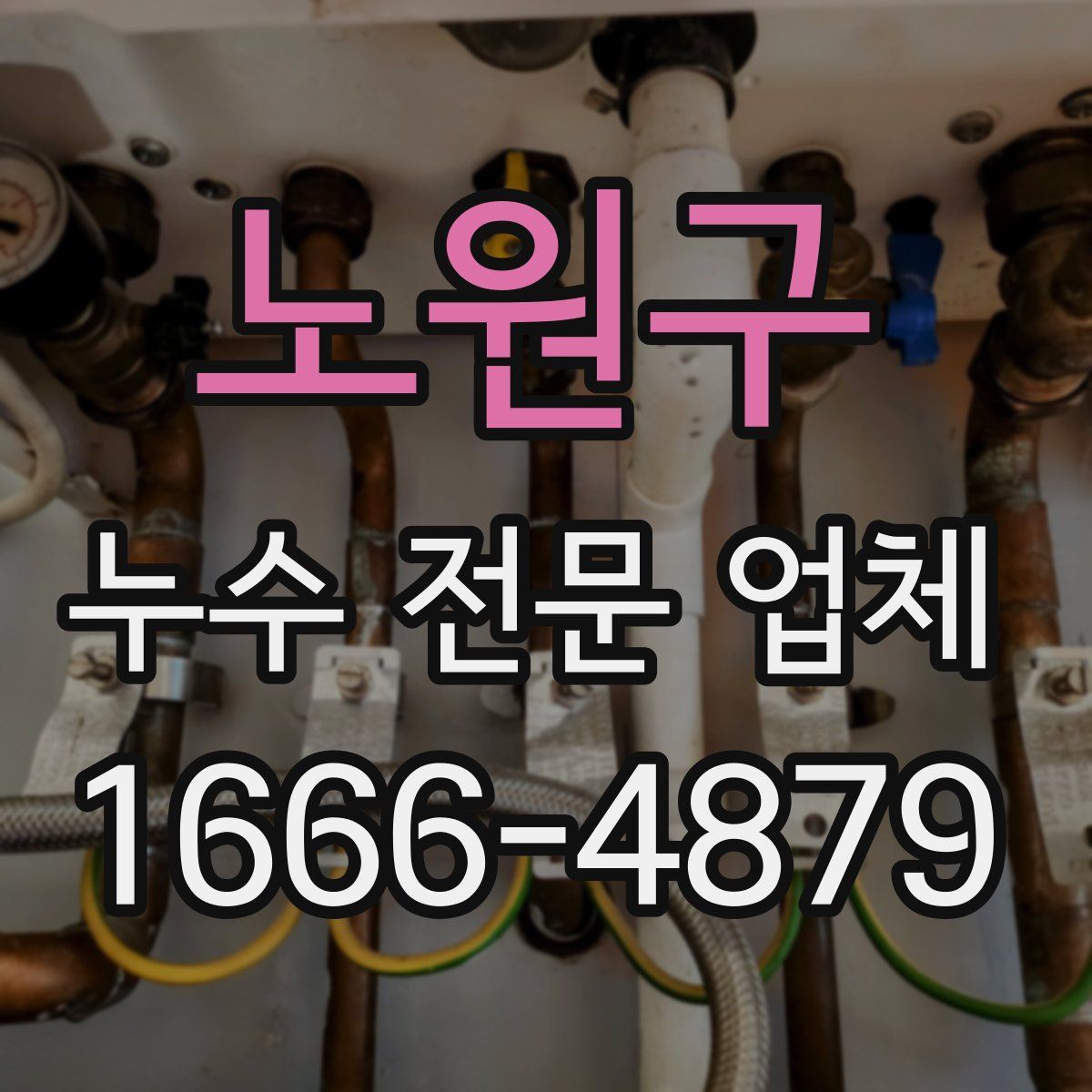 노원구 누수 전문 업체